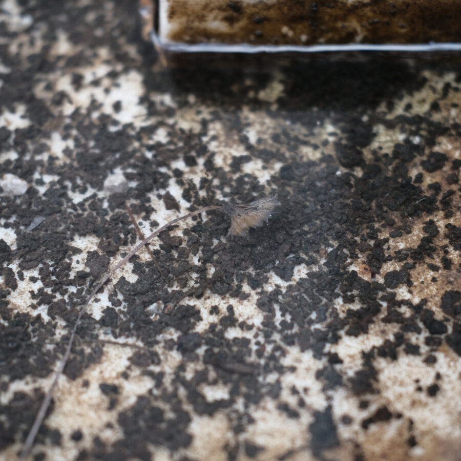 Pöhacker Brunnen Hall in Tirol