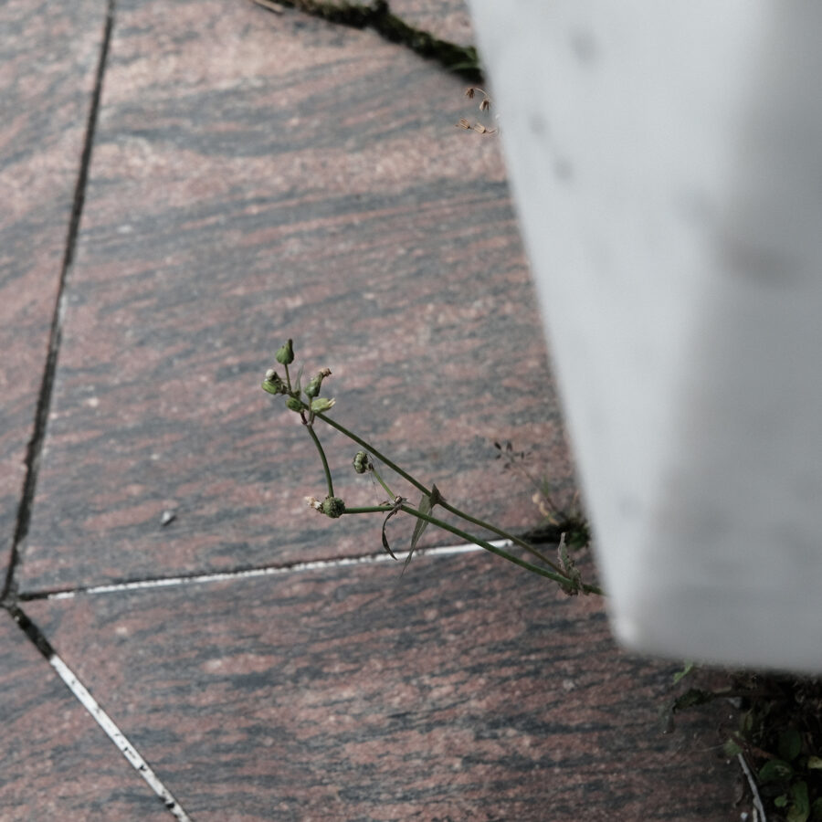 Pöhacker Brunnen Hall in Tirol